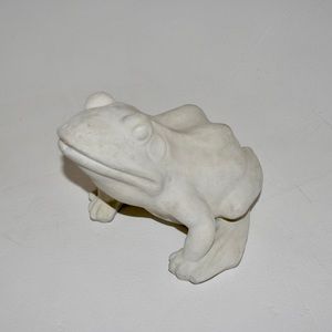Cement Frog for Garden